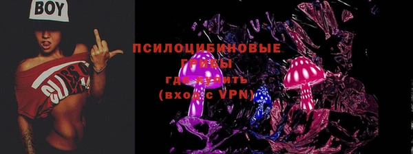 спайс Алексин