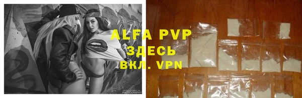 стафф Алзамай