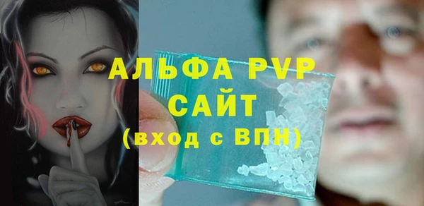 стафф Алзамай