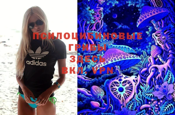 стафф Алзамай