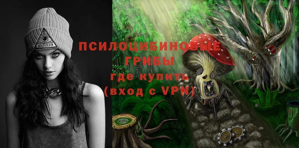 индика Алексеевка