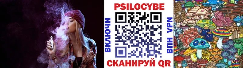Псилоцибиновые грибы прущие грибы  Пермь 